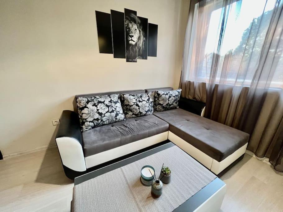 Sof Apartment'S Sofie Exteriér fotografie
