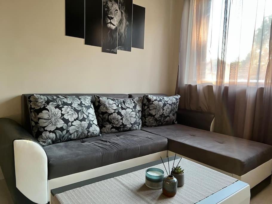 Sof Apartment'S Sofie Exteriér fotografie
