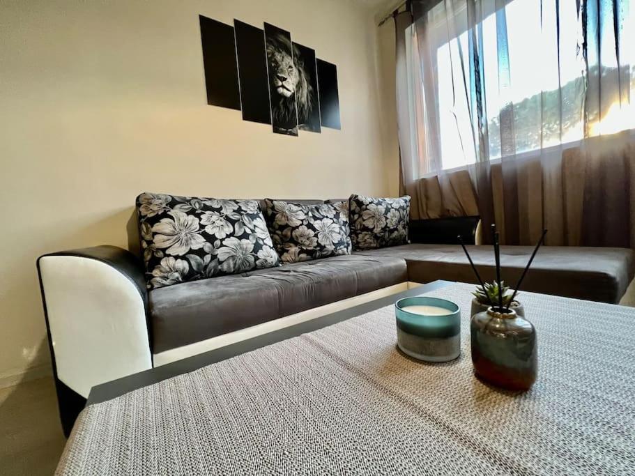 Sof Apartment'S Sofie Exteriér fotografie